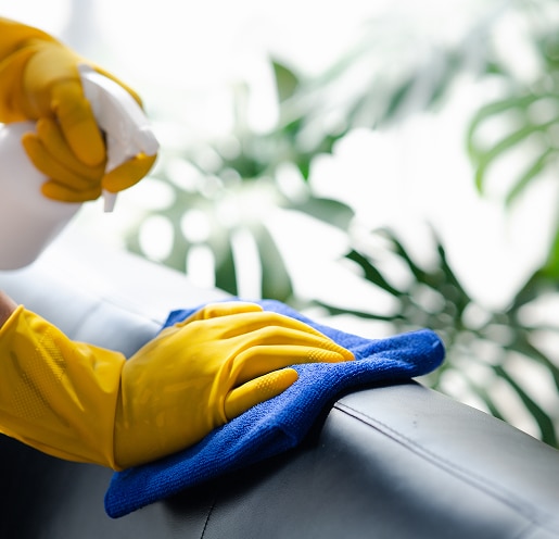Mains gantées jaunes pulvérisant et essuyant une surface noire avec un chiffon bleu, fond de plantes vertes floues. Nettoyage et désinfection.